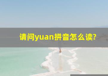 请问yuan拼音怎么读?