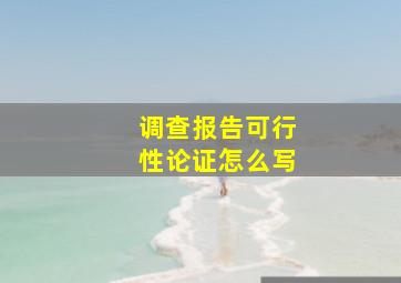 调查报告可行性论证怎么写