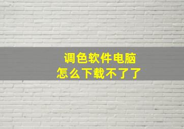 调色软件电脑怎么下载不了了