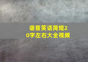 谐音笑话简短20字左右大全视频