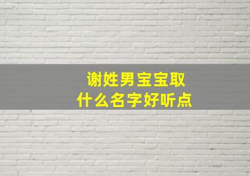 谢姓男宝宝取什么名字好听点