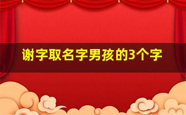 谢字取名字男孩的3个字