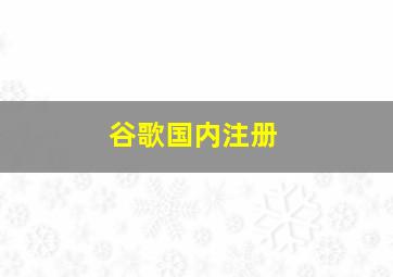 谷歌国内注册