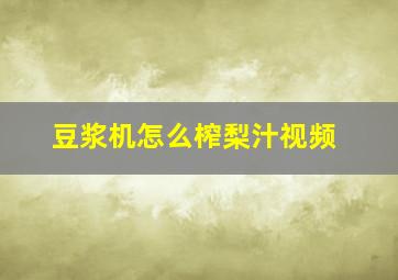 豆浆机怎么榨梨汁视频