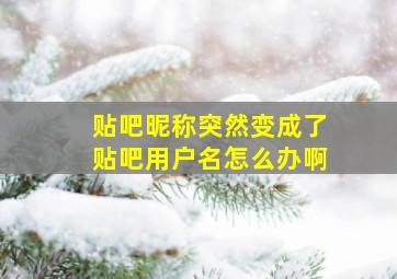 贴吧昵称突然变成了贴吧用户名怎么办啊