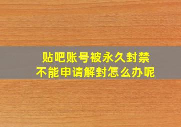 贴吧账号被永久封禁不能申请解封怎么办呢