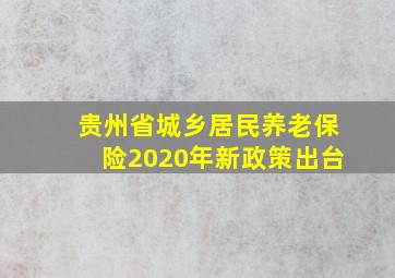 贵州省城乡居民养老保险2020年新政策出台