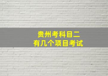 贵州考科目二有几个项目考试