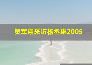 贺军翔采访杨丞琳2005