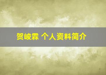 贺峻霖 个人资料简介