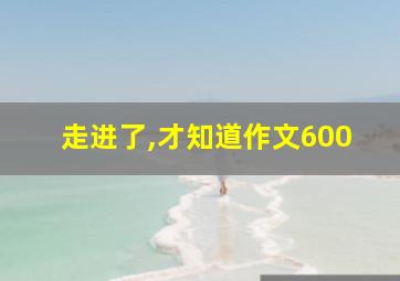 走进了,才知道作文600