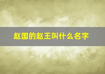 赵国的赵王叫什么名字