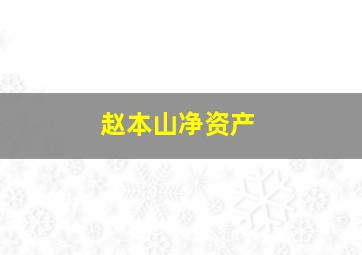 赵本山净资产