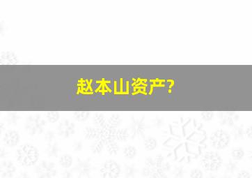 赵本山资产?