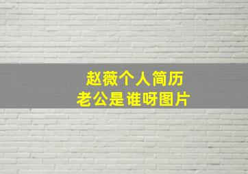 赵薇个人简历老公是谁呀图片