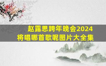 赵露思跨年晚会2024将唱哪首歌呢图片大全集