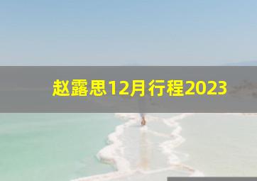 赵露思12月行程2023