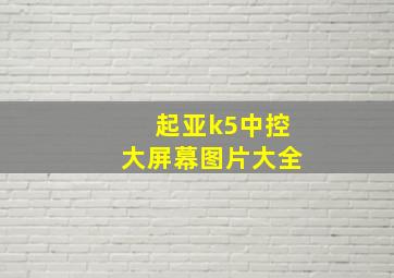 起亚k5中控大屏幕图片大全