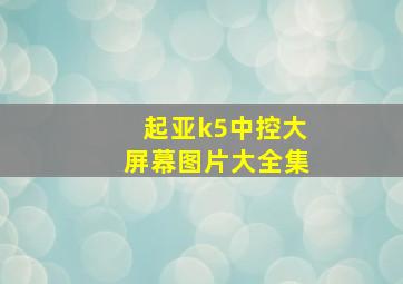 起亚k5中控大屏幕图片大全集