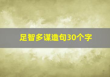 足智多谋造句30个字