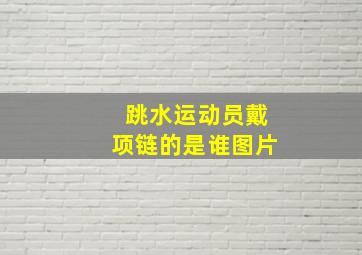 跳水运动员戴项链的是谁图片