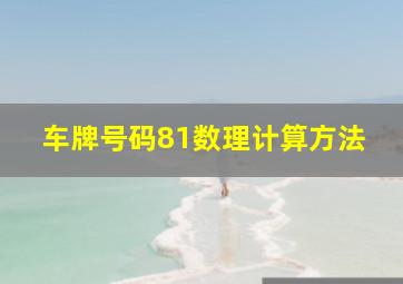 车牌号码81数理计算方法