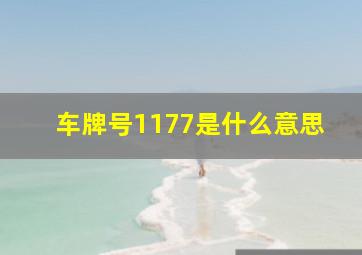 车牌号1177是什么意思