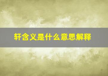 轩含义是什么意思解释