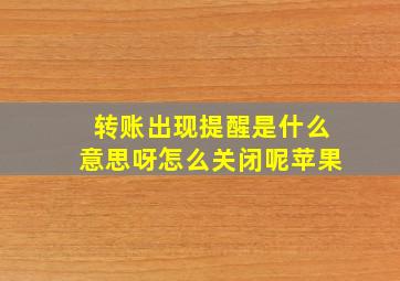 转账出现提醒是什么意思呀怎么关闭呢苹果