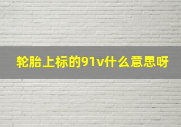 轮胎上标的91v什么意思呀