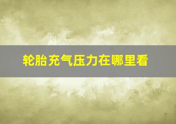 轮胎充气压力在哪里看