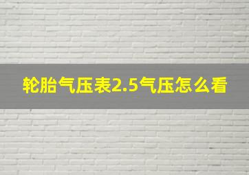 轮胎气压表2.5气压怎么看