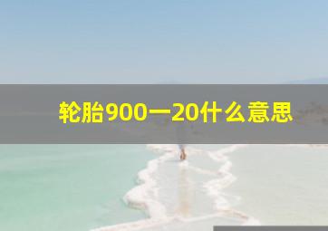 轮胎900一20什么意思