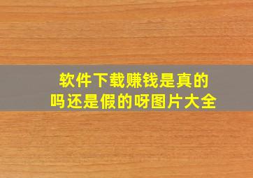 软件下载赚钱是真的吗还是假的呀图片大全