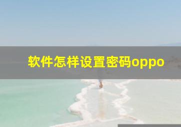 软件怎样设置密码oppo