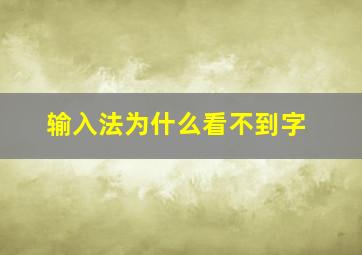 输入法为什么看不到字