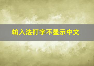 输入法打字不显示中文