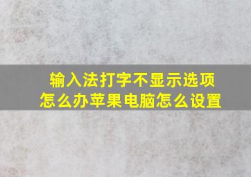 输入法打字不显示选项怎么办苹果电脑怎么设置