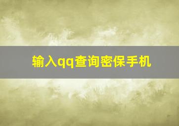 输入qq查询密保手机