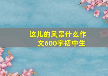 这儿的风景什么作文600字初中生