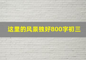 这里的风景独好800字初三