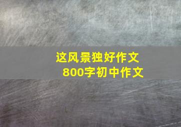 这风景独好作文800字初中作文