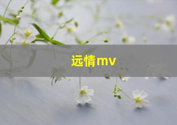 远情mv