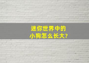 迷你世界中的小狗怎么长大?