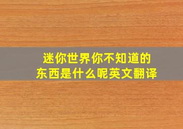 迷你世界你不知道的东西是什么呢英文翻译