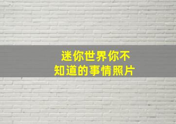 迷你世界你不知道的事情照片