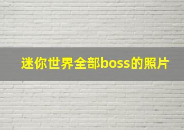 迷你世界全部boss的照片