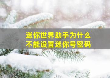 迷你世界助手为什么不能设置迷你号密码