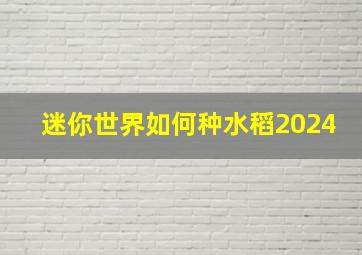 迷你世界如何种水稻2024