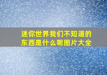 迷你世界我们不知道的东西是什么呢图片大全